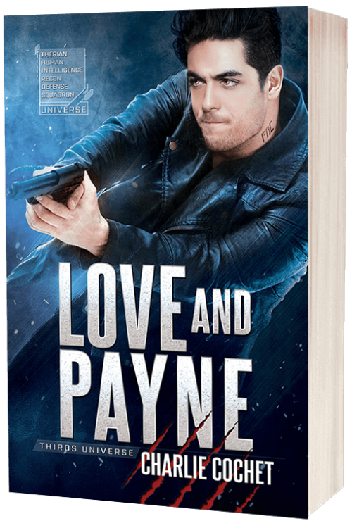 Love and Payne - THIRDS Rebels Book 1 - Damaged