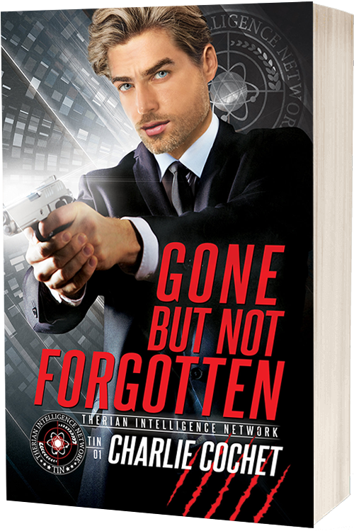 Gone But Not Forgotten - TIN Book 1 - Damaged