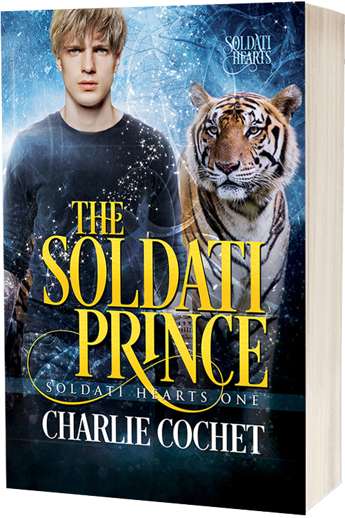 The Soldati Prince - Soldati Hearts Book 1 - Damaged